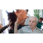 28.05.2015 Seniorenheim Vitaris